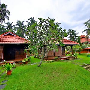 King Room Lake View